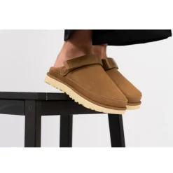 GOLDENSTAR CLOG W